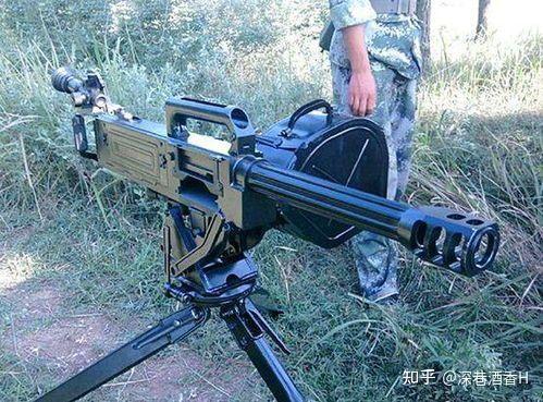 战锤里的爆弹枪按设定来看本质其实算不算只是火药武器