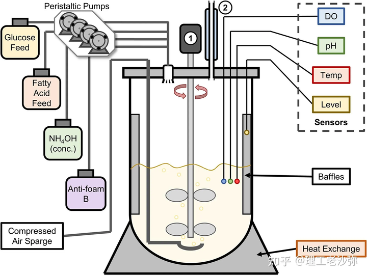 （续）分批补料微型生物反应器设计的最新进展 知乎