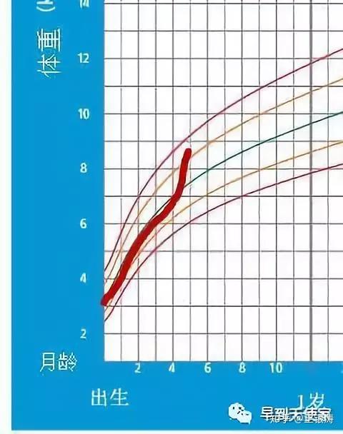 早产儿比足月儿易出现发育指标延迟早产儿的生长曲线怎么看
