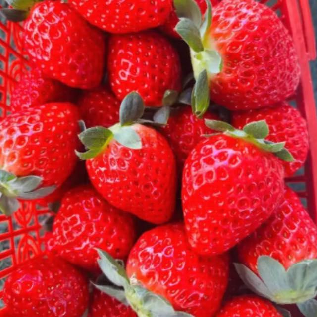 草莓是农残最高的水果吗？