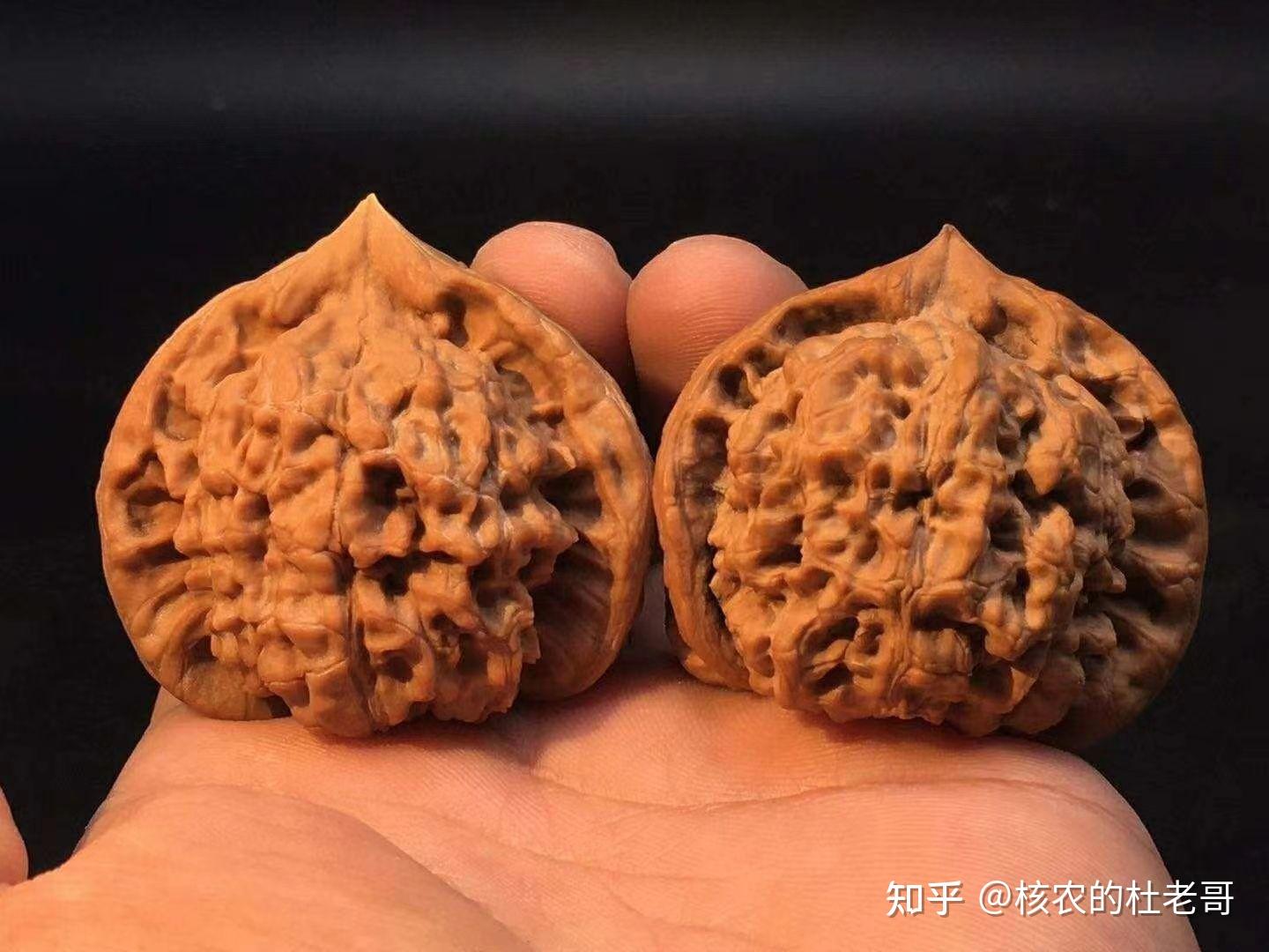 文玩核桃👑官帽👑 - 知乎