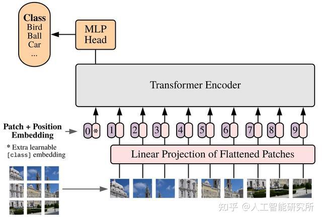 PyTorch代码实现vision Transformer模型的patch embedding操作 - 知乎