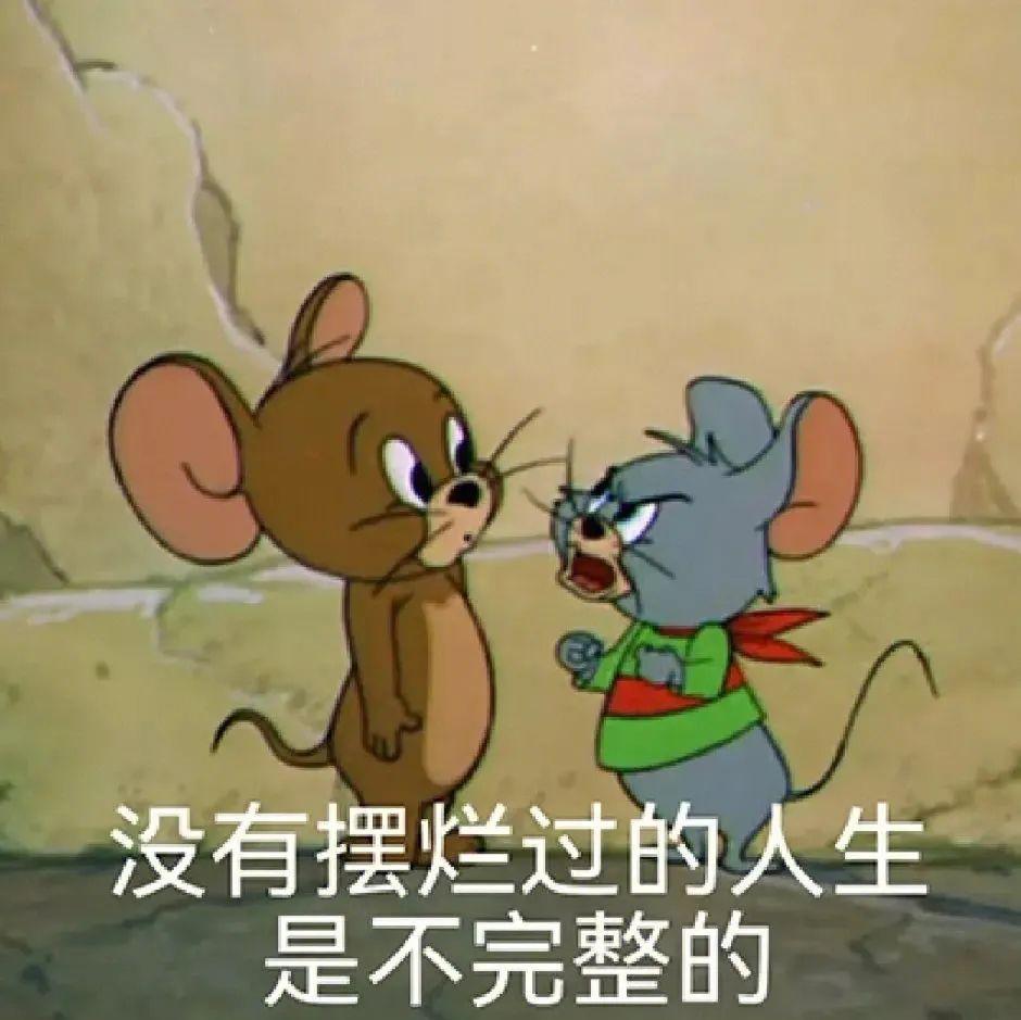 有没有特别搞笑又欠揍的表情包