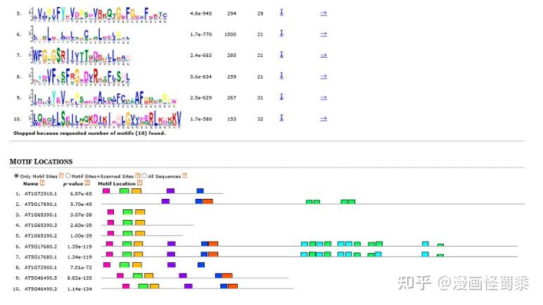 想用差异基因做motif分析,要怎么做? - 知乎