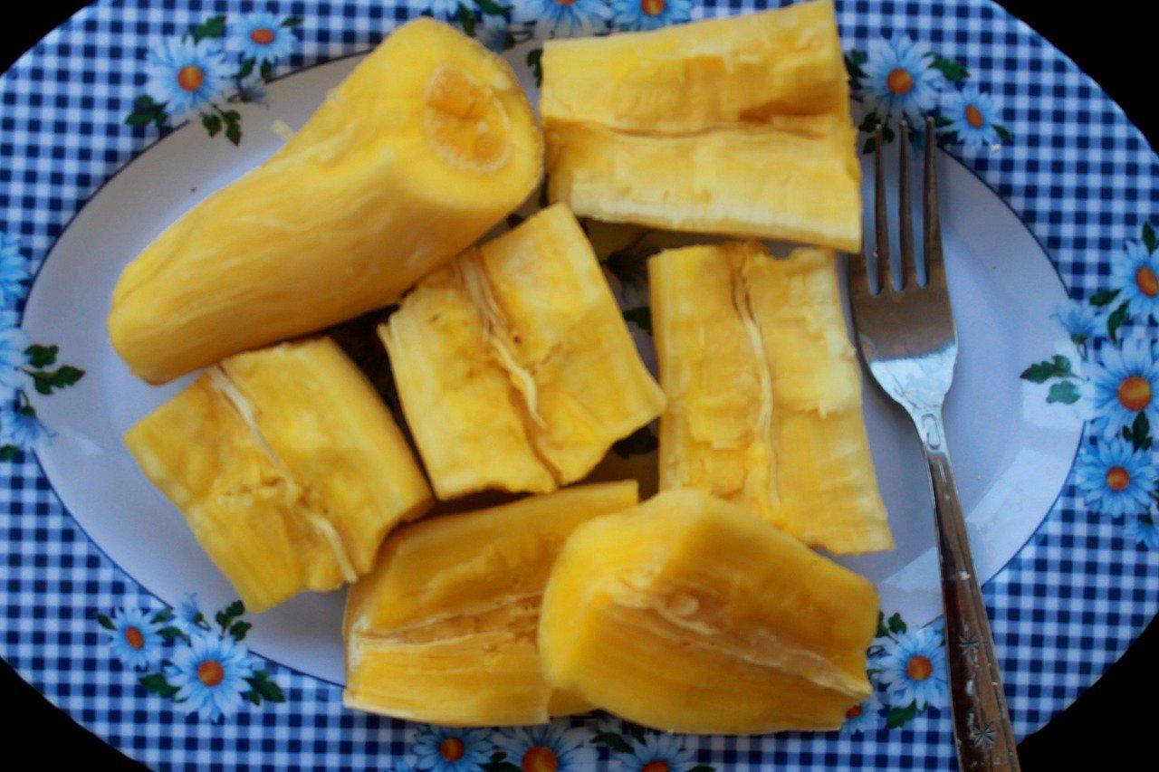 4. 木薯果实描述