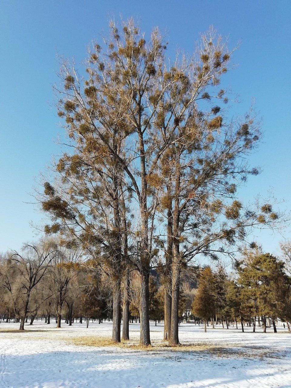 承德彩云岭在哪里