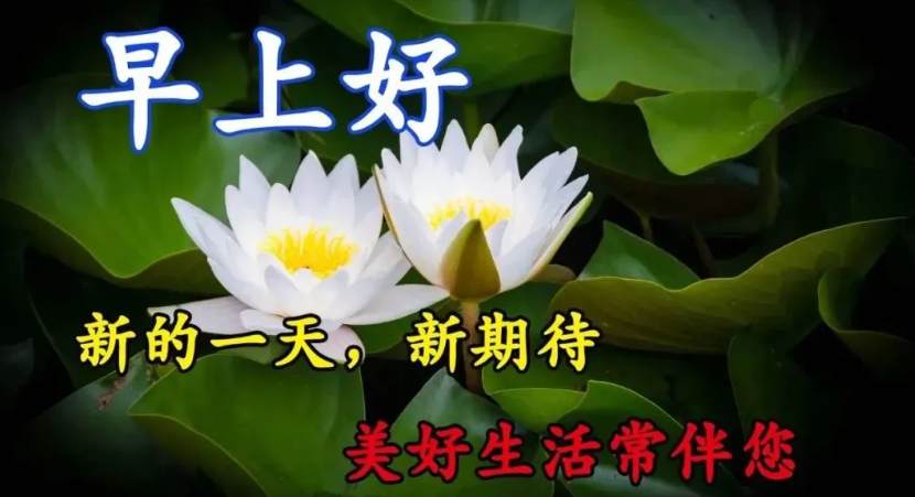 11月28日早安超漂亮表情祝福语图片 知乎