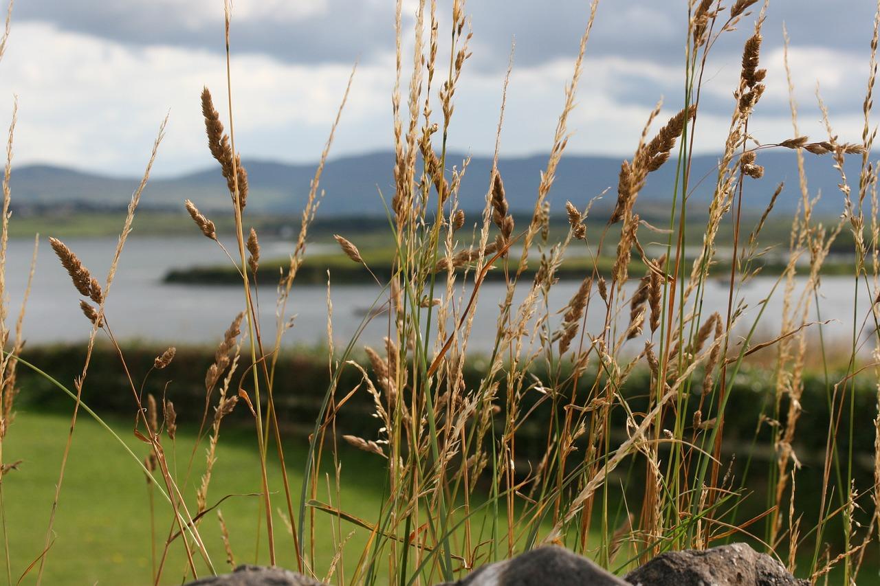 婚礼唱什么歌活跃气氛