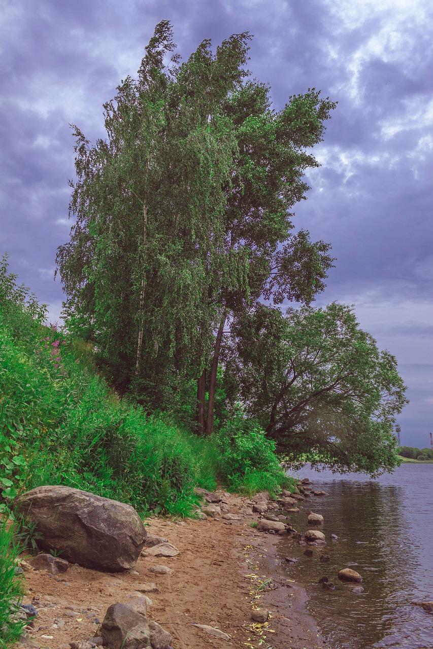 四级作文热点话题分析