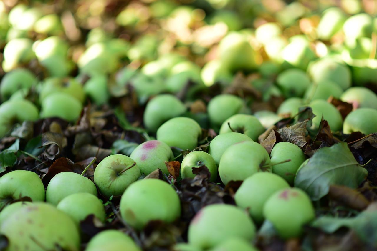 2. 河畔阳光公寓