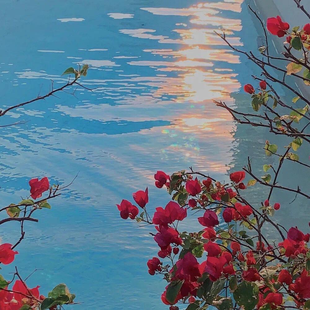 有什么看起来很舒服高级的微信背景图