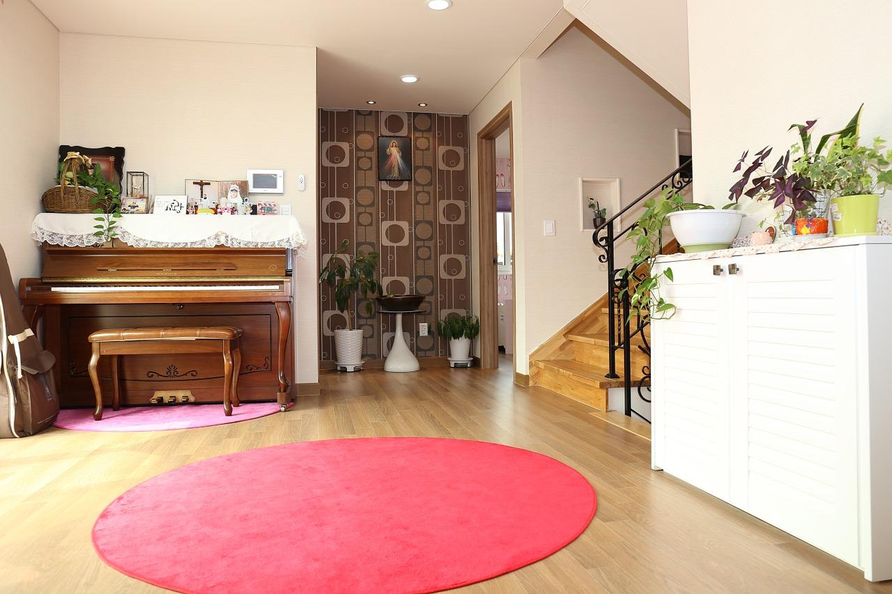 3. 客厅耐阴植物