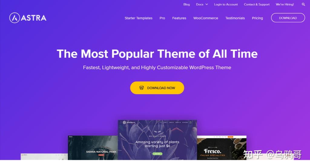 有哪些好看的极简的WordPress主题?插图8 有哪些好看的极简的WordPress主题?插图8