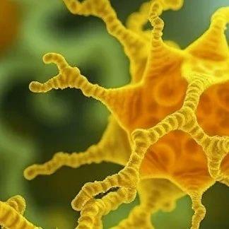 Nat. Microbiol. | 深度学习揭示古菌蛋白组中的潜在抗生素 - 知乎