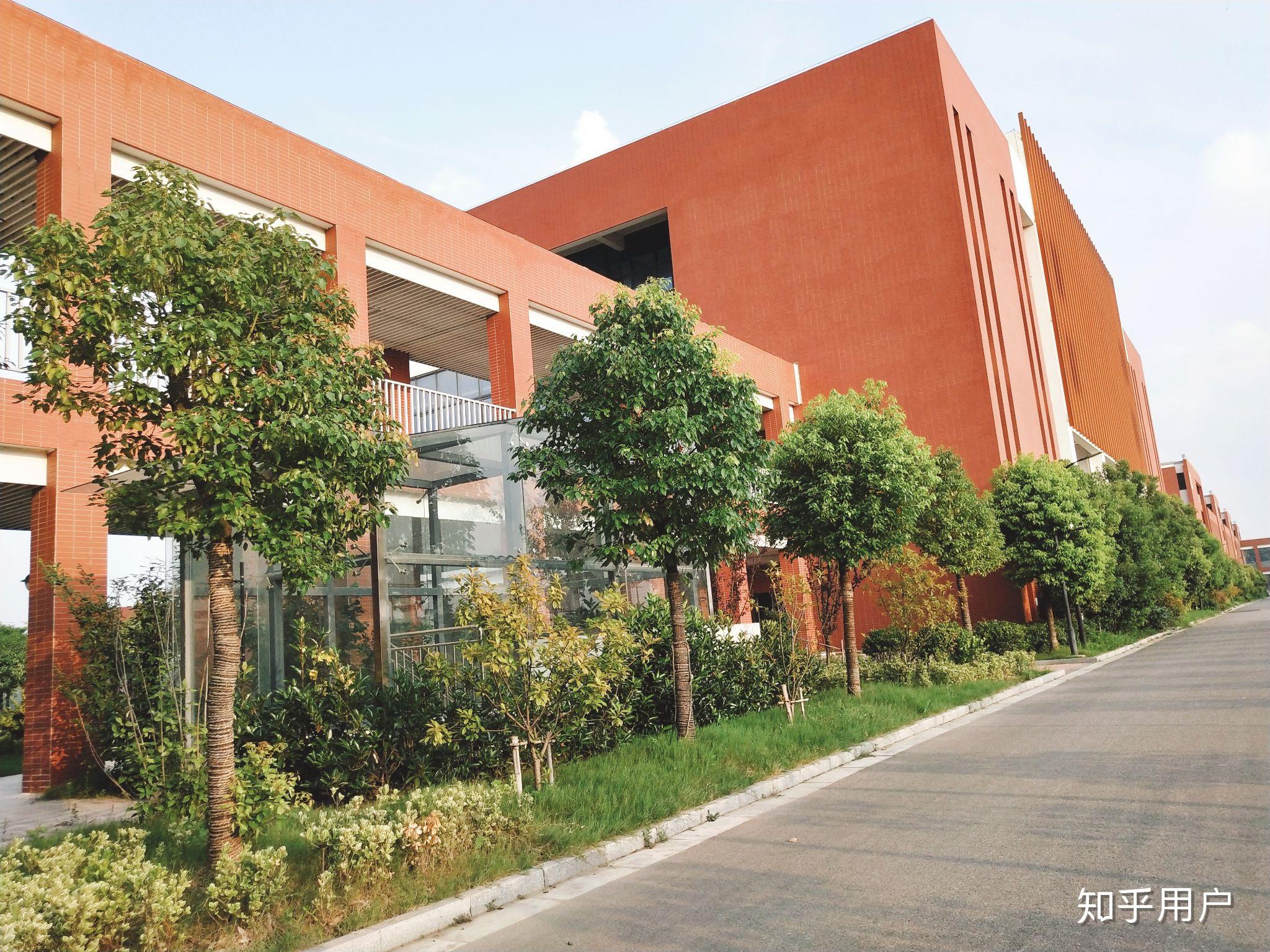 在金湖吴运铎实验学校就读是一种什么样的体验? - 知乎