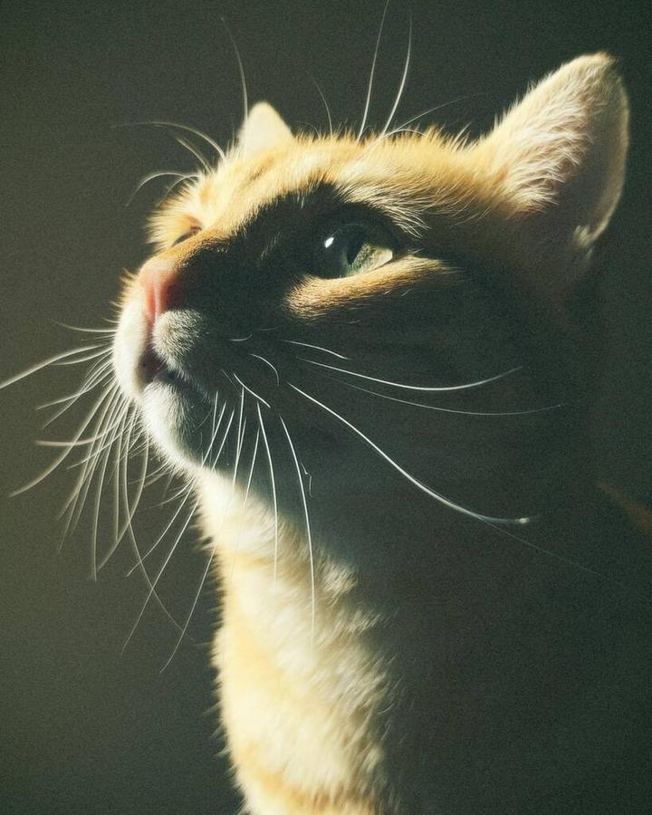 AtCoder Beginner Contest 280 G Do Use Hexagon Grid 2 AtCoder Beginner Contest 280 G Do Use Hexagon Grid 2