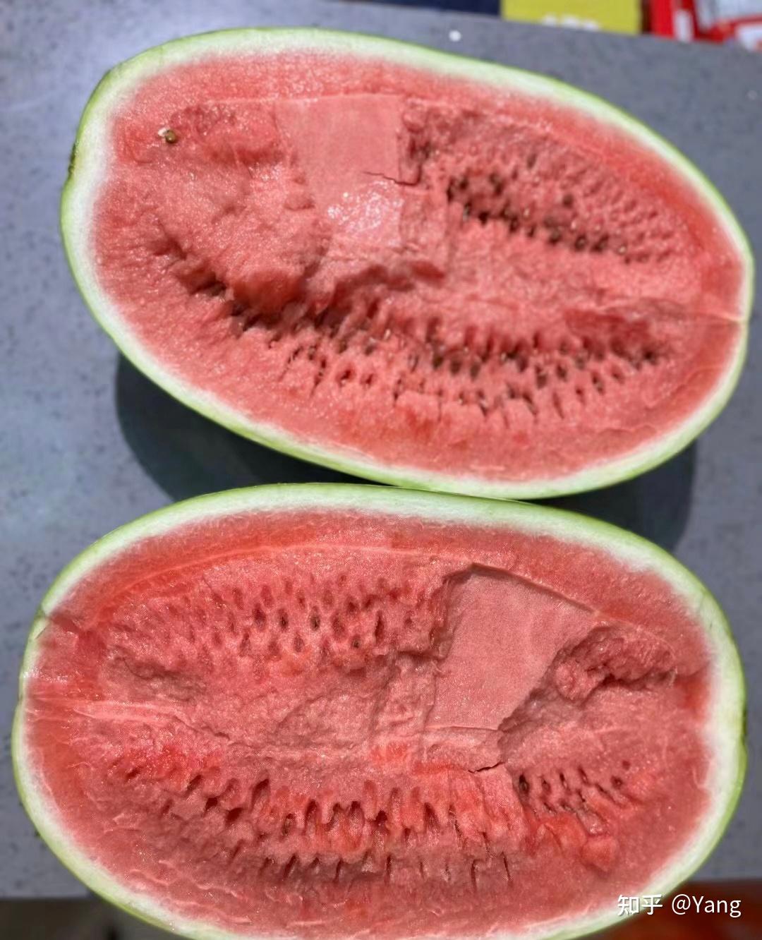 如何挑选最甜最美味的中卫硒砂瓜?