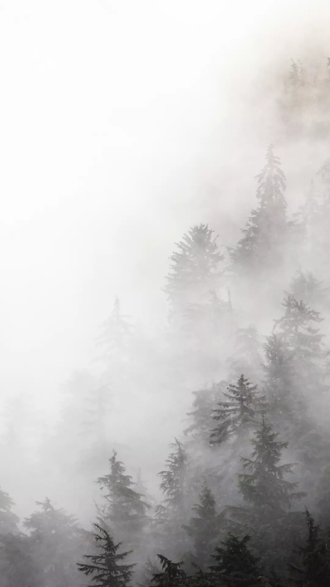 有类似这样灰白主题的壁纸图片嘛?