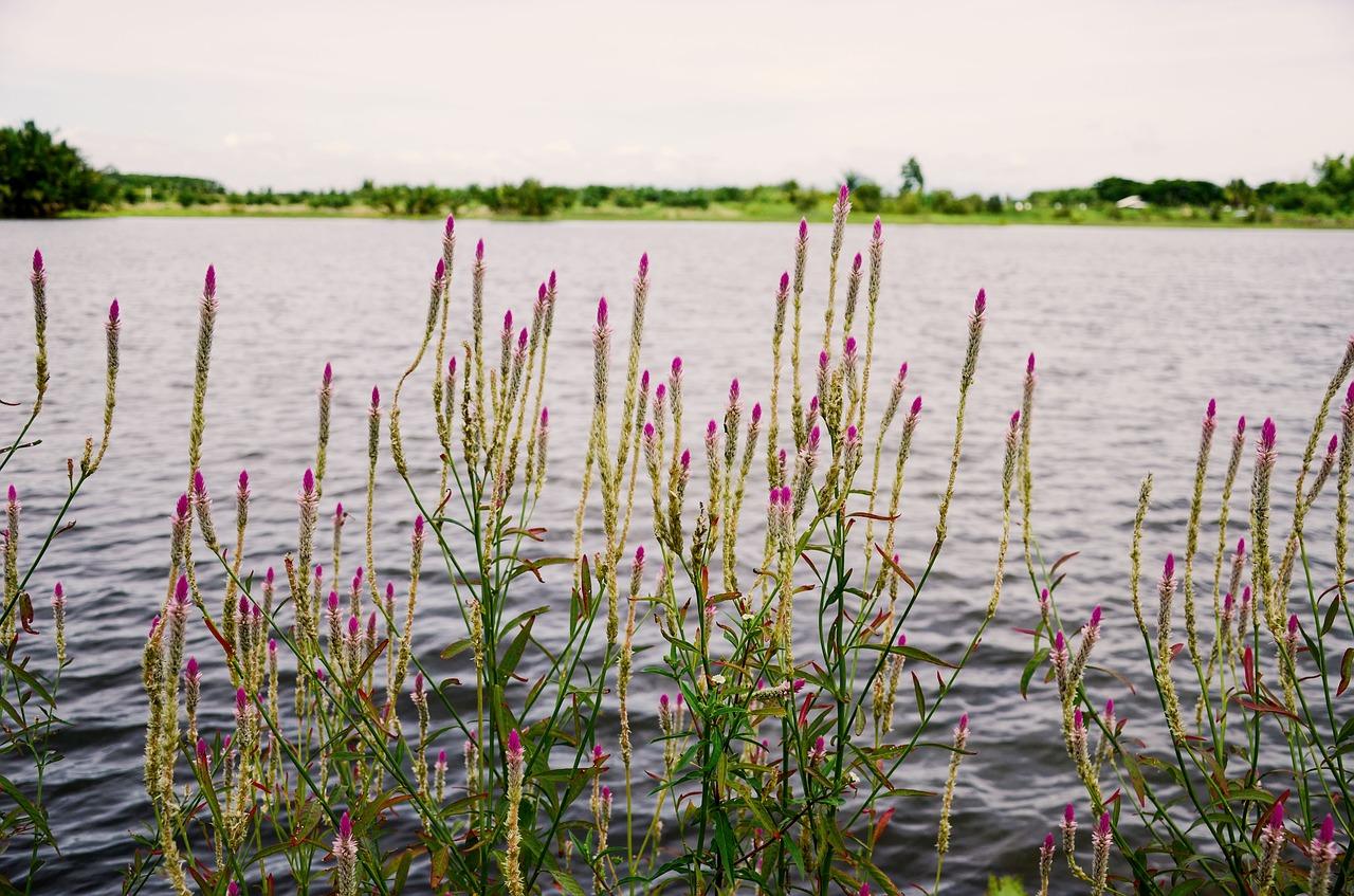 左岸慧晶什么档次