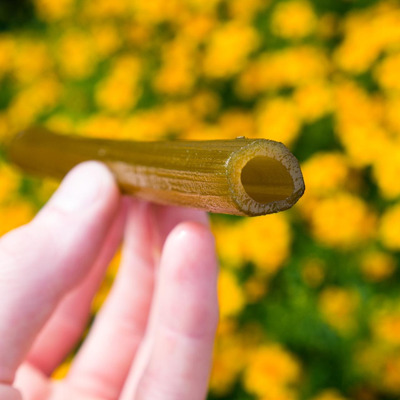 暖黄色多配什么颜色