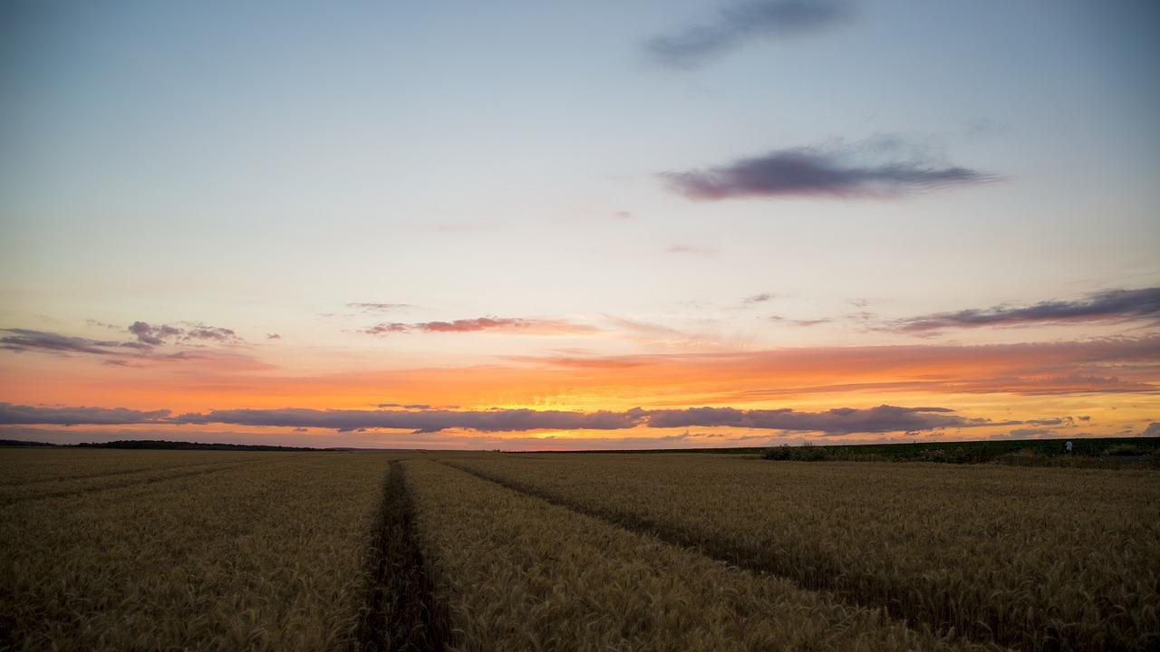 夕阳下的宁静与美好