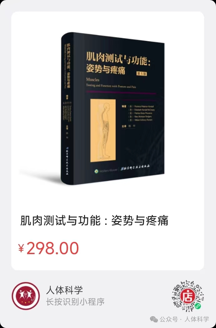【短收肌】大腿内侧稳定之柱 - 知乎