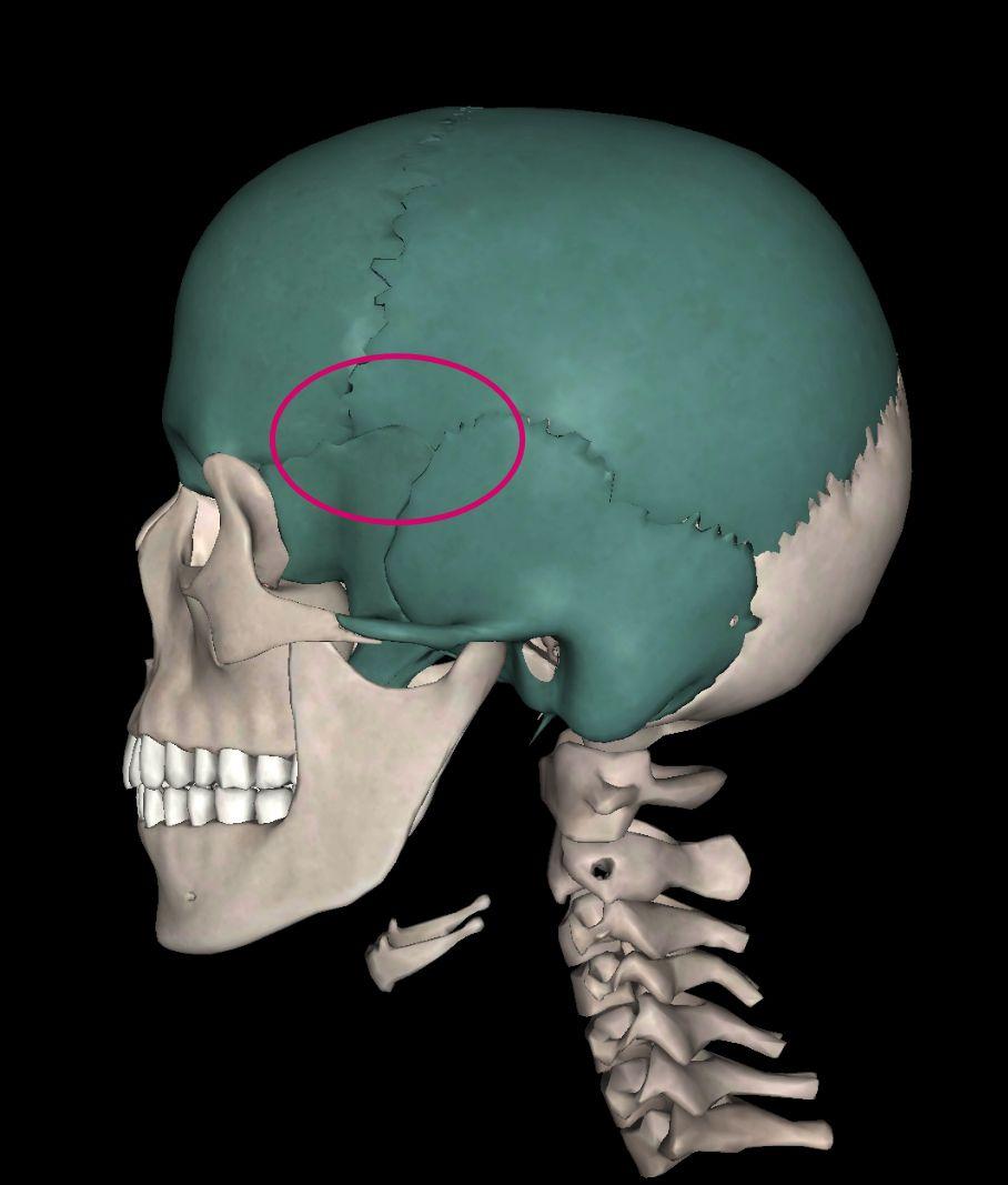 一个脑瓜崩把人弹飞几十米和一个脑瓜崩把人脑袋弹爆哪个更可能实现?