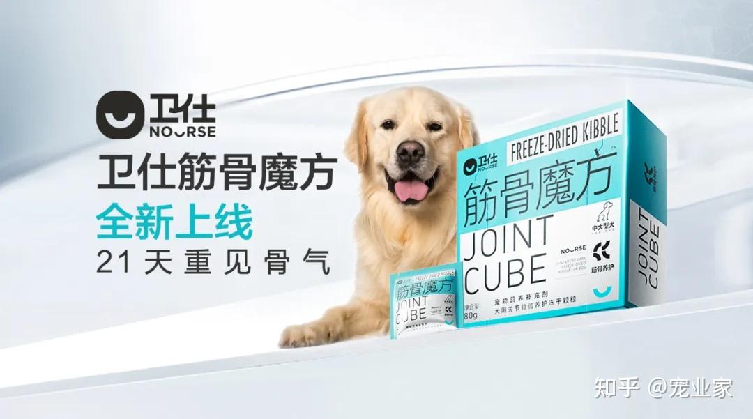 当中国铲屎官们开始为宠物“养老” - 知乎