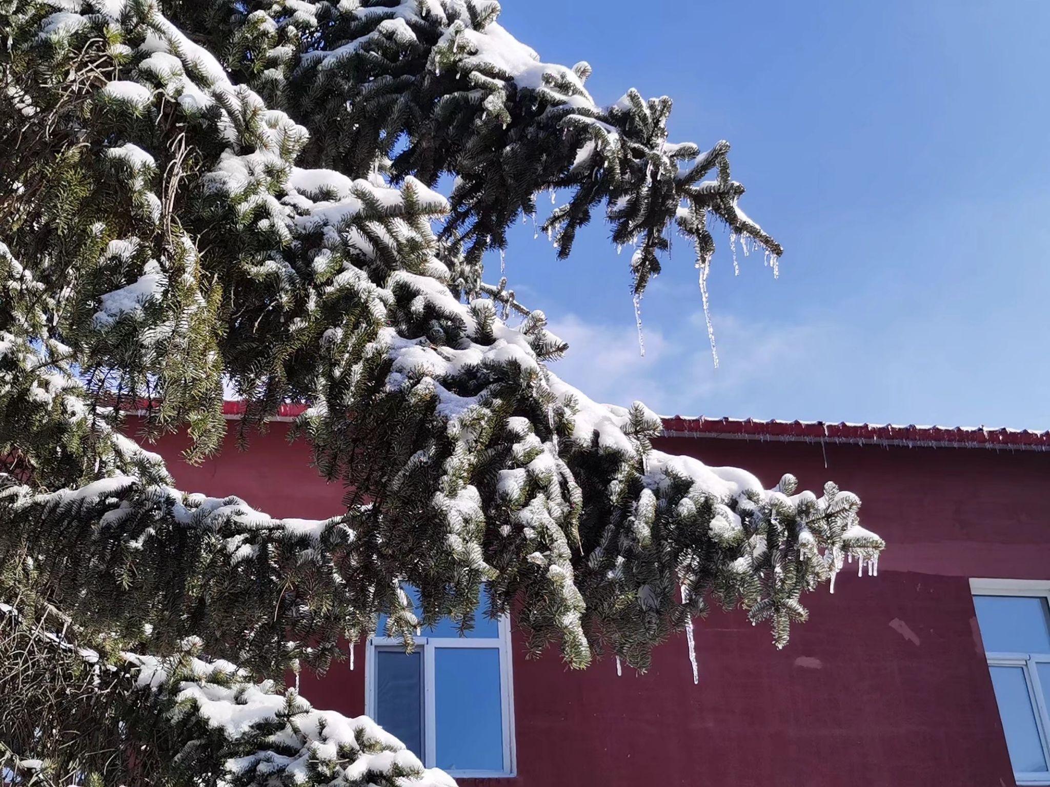 吉林大学雪景图片