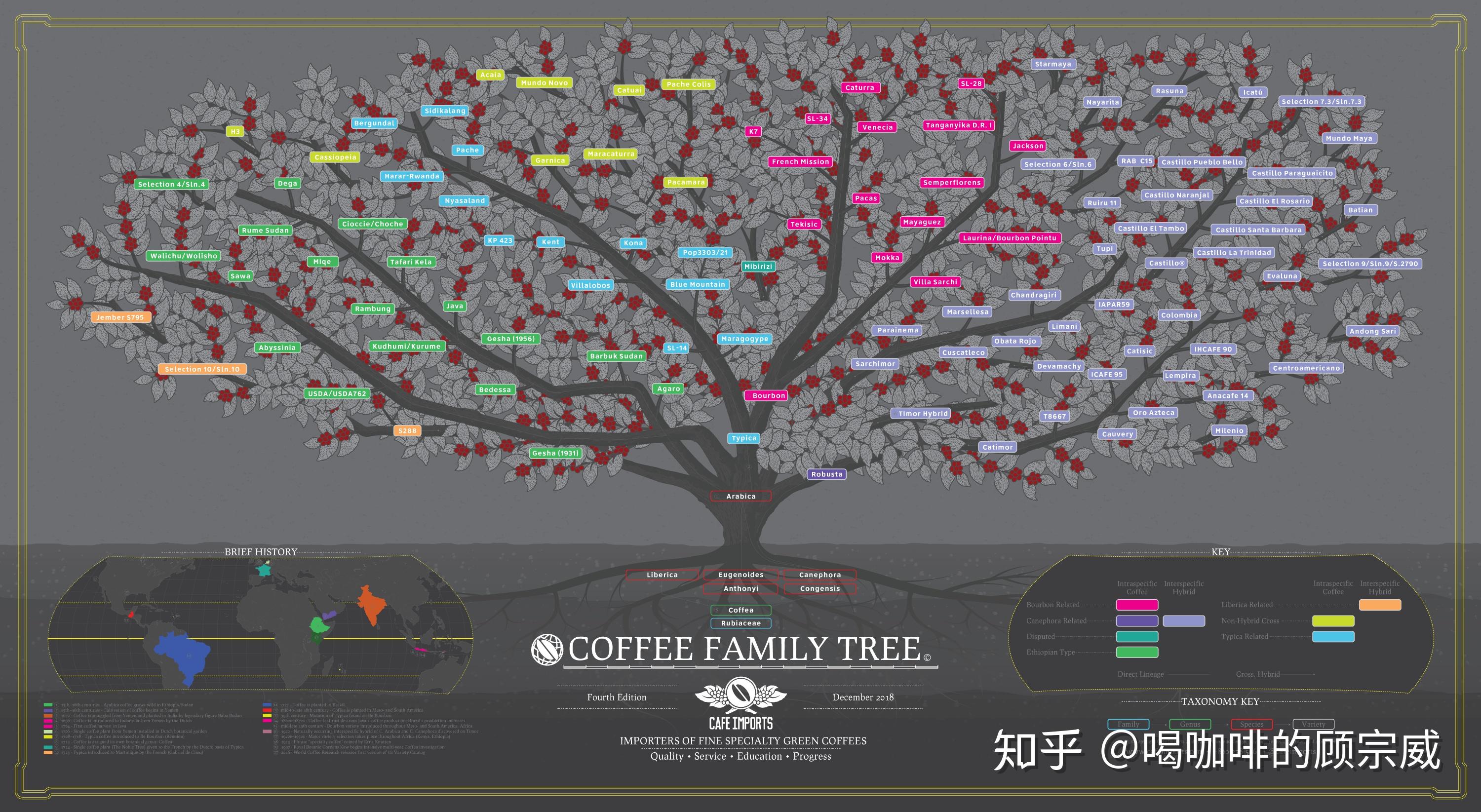 特别想知道咖啡里的那些分类有什么区别