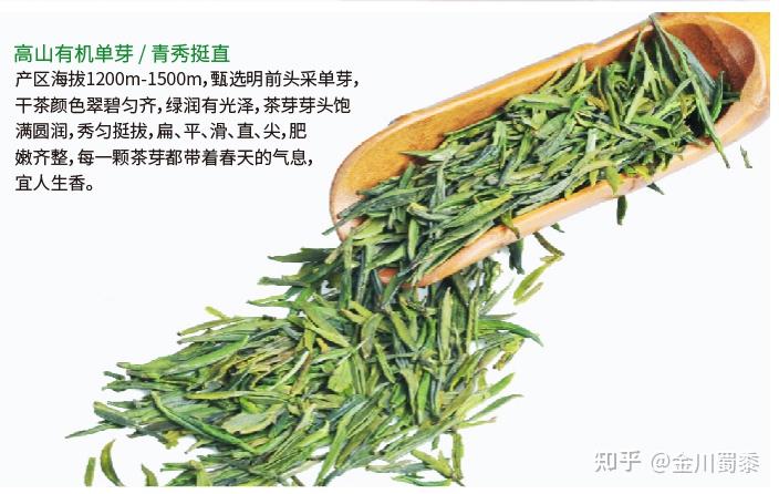 雀舌与竹叶青的区别有没有知道我现在好混乱感觉长得好像啊