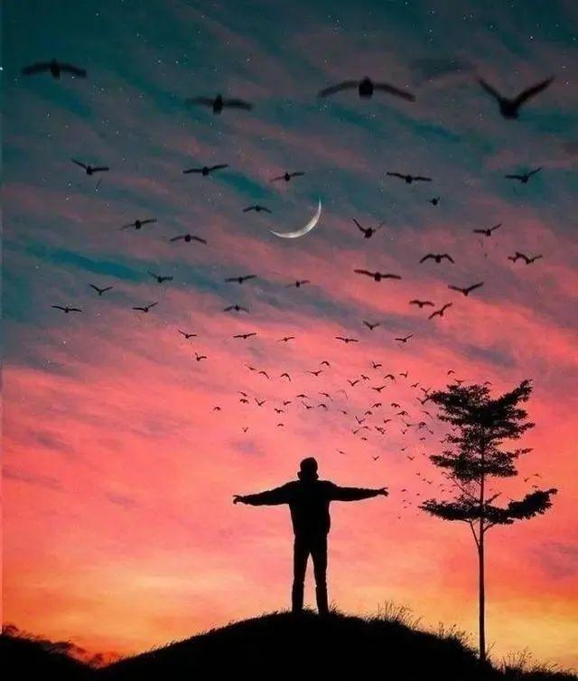 有哪些晚安语录或电台，让你觉得夜晚特别温柔？ - 知乎