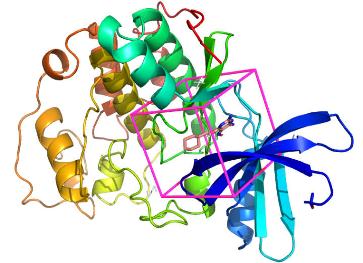 pymol教程 | 使用autodockina进行分子对接 - 知乎