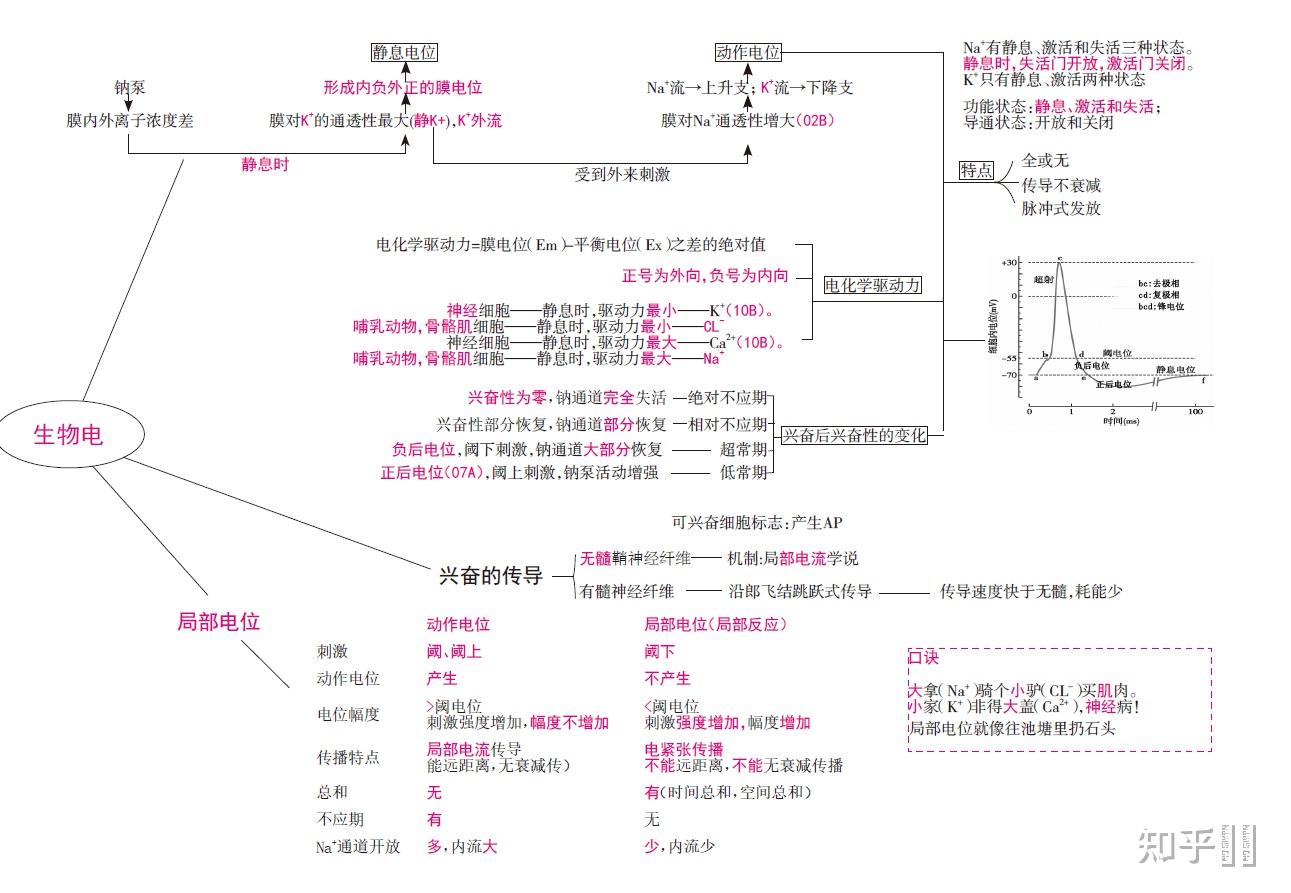 2022吴在望思维导图