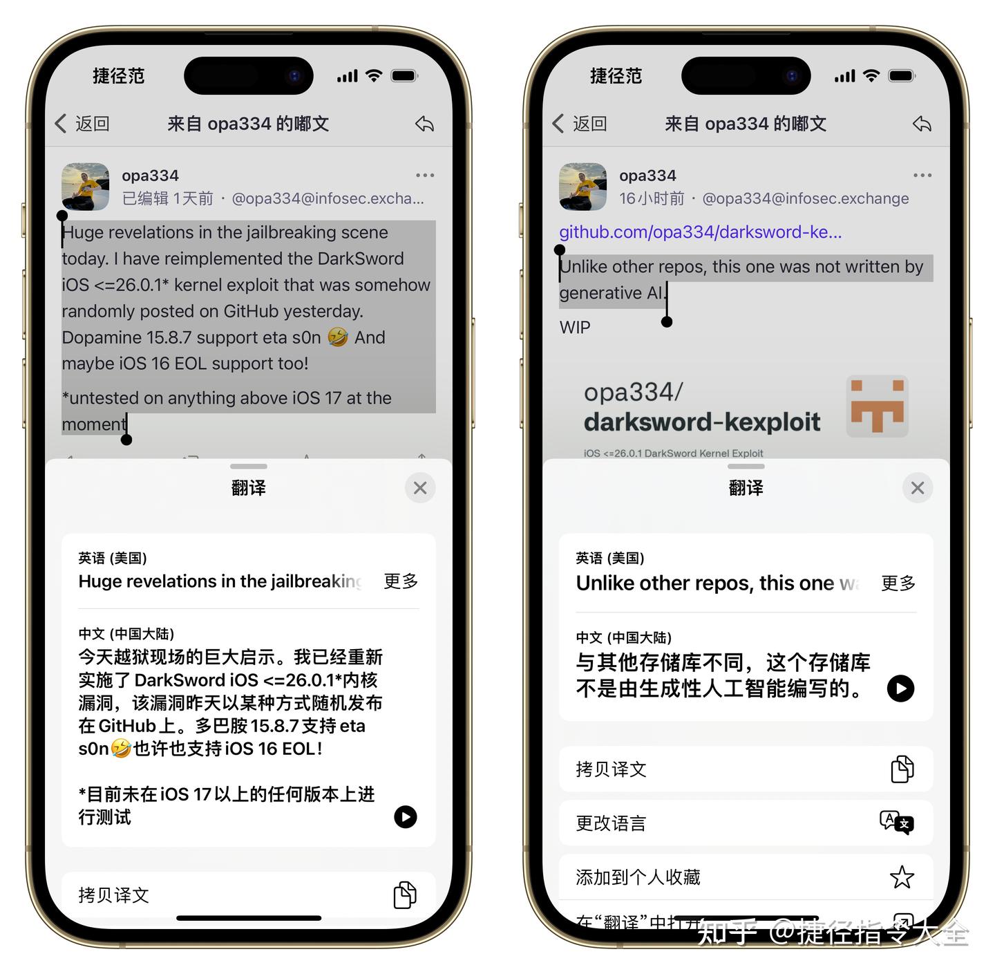 漏洞组合拳出击,opa334确认支持范围