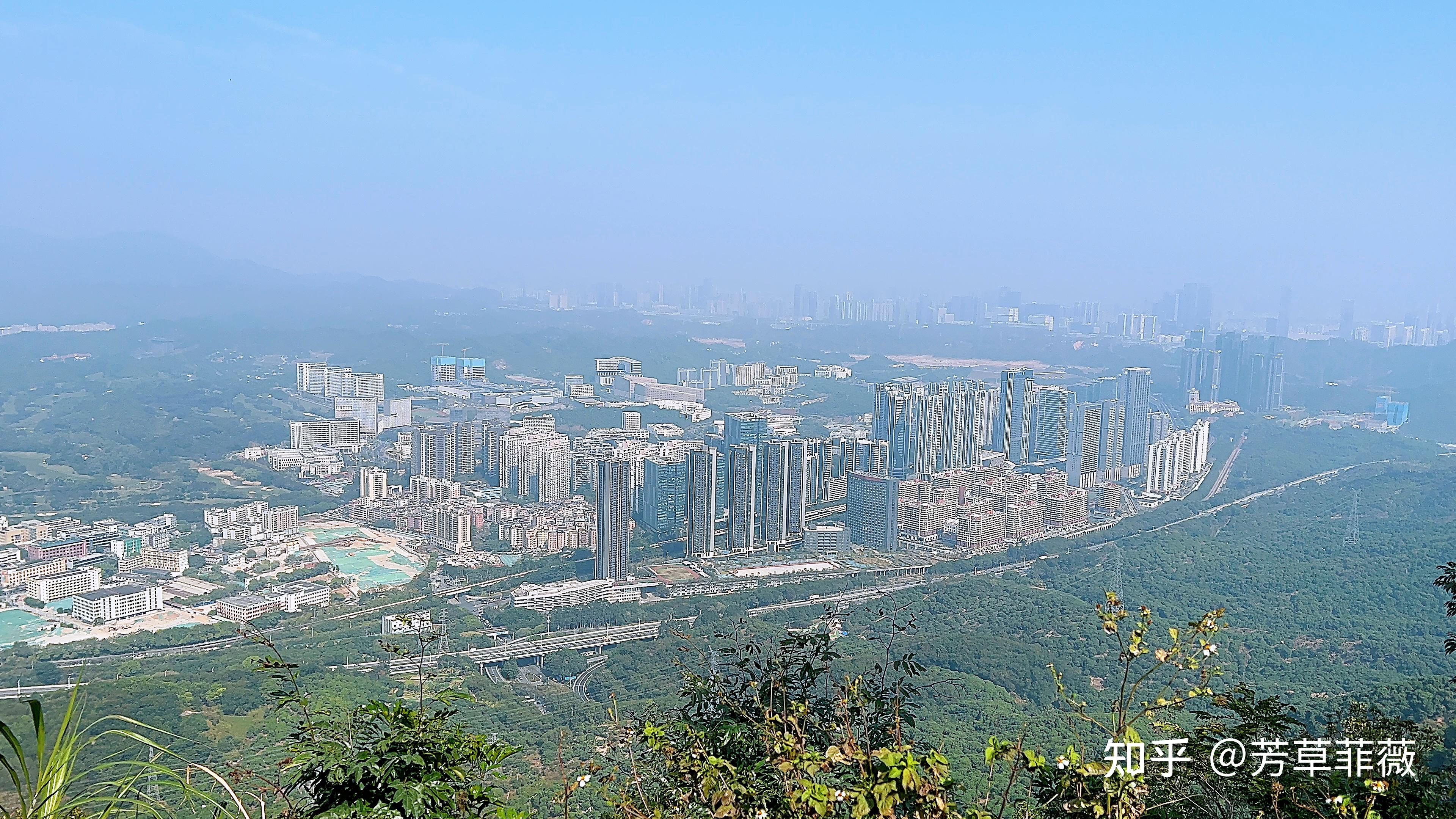 2025周末深圳好去处，深圳绿道徒步（持续更新中~） - 知乎