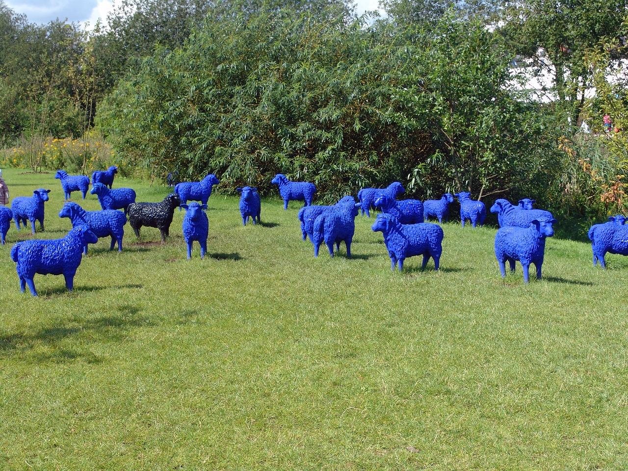 4. 居委活动信息