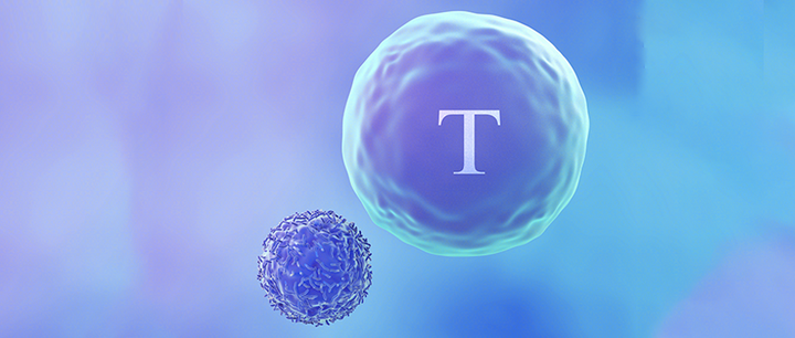 同立海源|ActSep™CD3/CD28分选激活磁珠加速国产替代 - 知乎