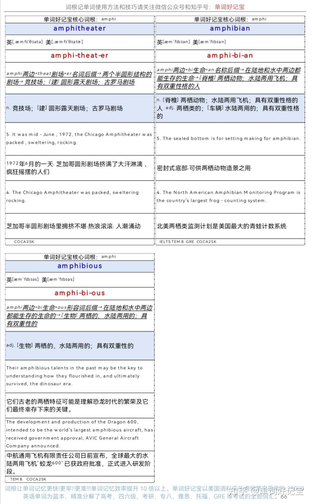 词根记单词•速度快十倍-单词好记宝核心词根amb - 知乎