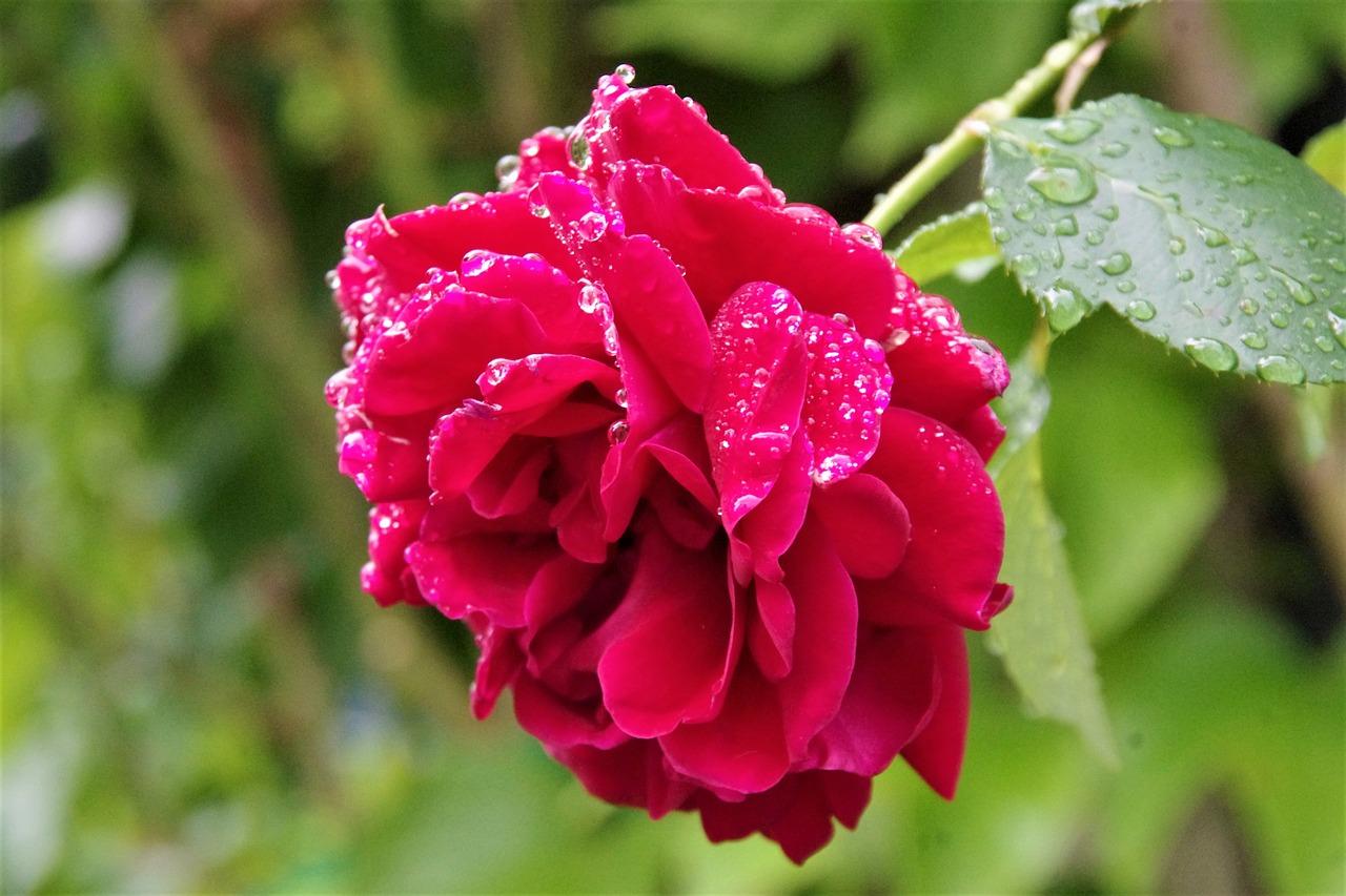 3. 安全防护措施