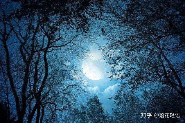 鲁迅先生《秋夜》一文的开篇(我家门前有两棵树)可以借鉴于高中作文里吗?