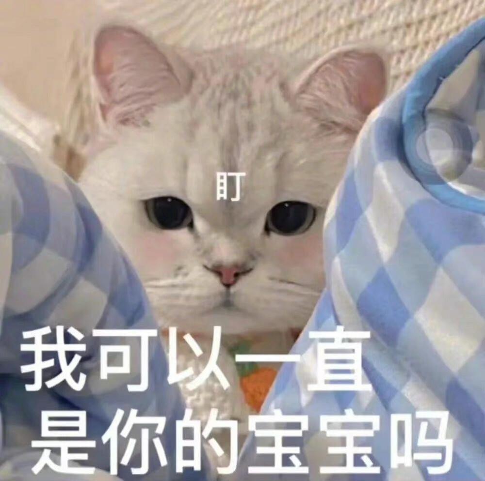 你都存了哪些可爱的表情包? - 知乎