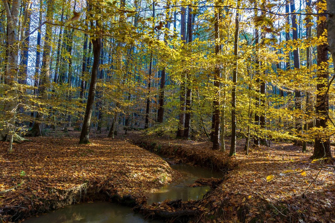 4. 生态宜居环境