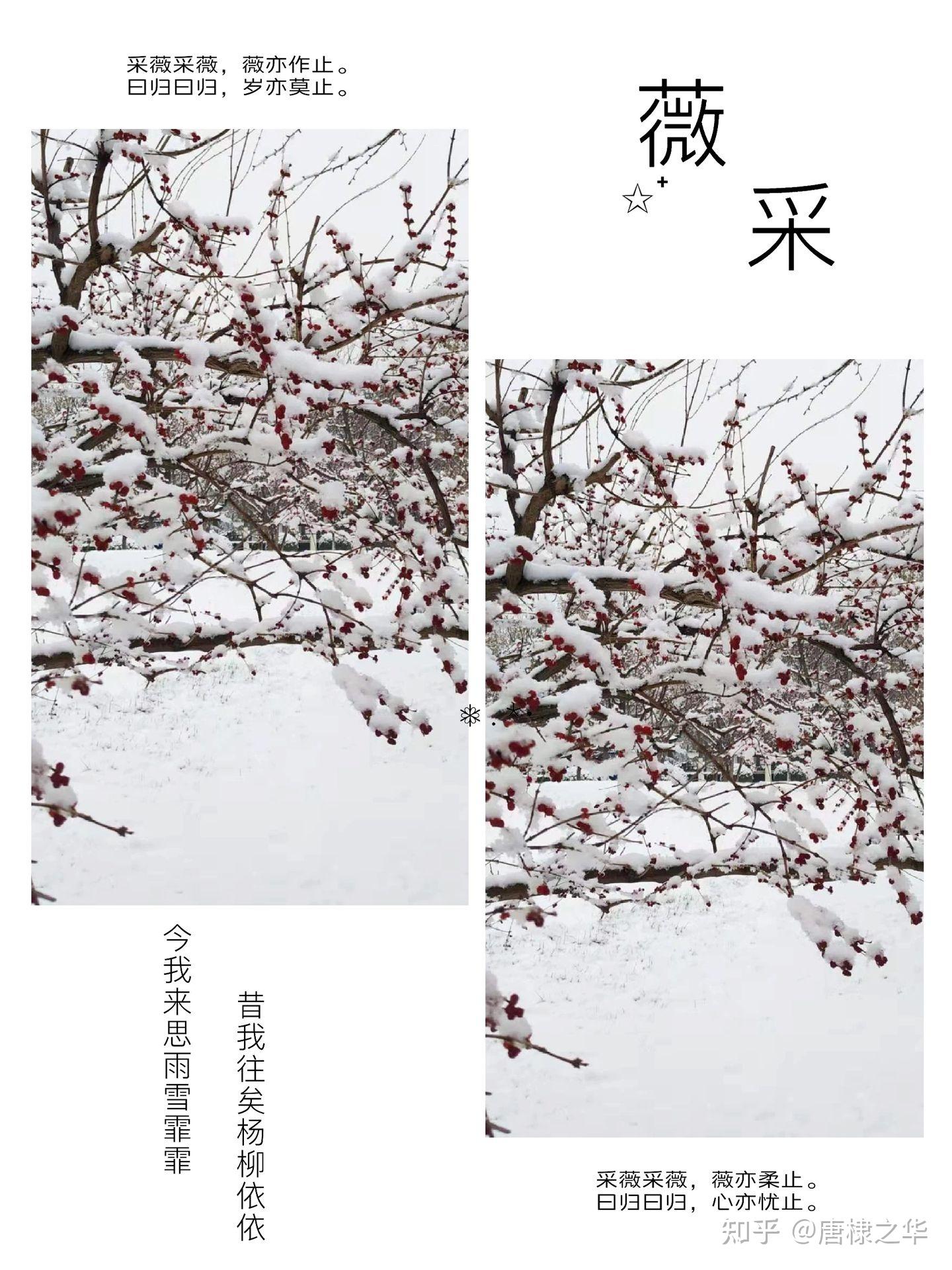 《诗经》诗三百篇中，那些不容错过的精彩！ - 知乎