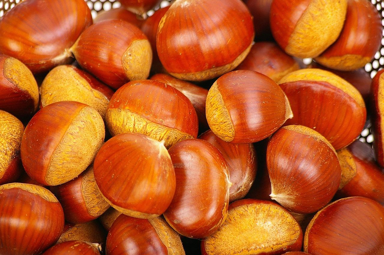 感恩节至，感谢生活馈赠