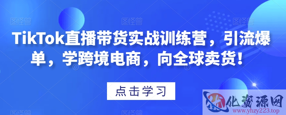 TikTok直播带货实战训练营，引流爆单，学跨境电商，向全球卖货！