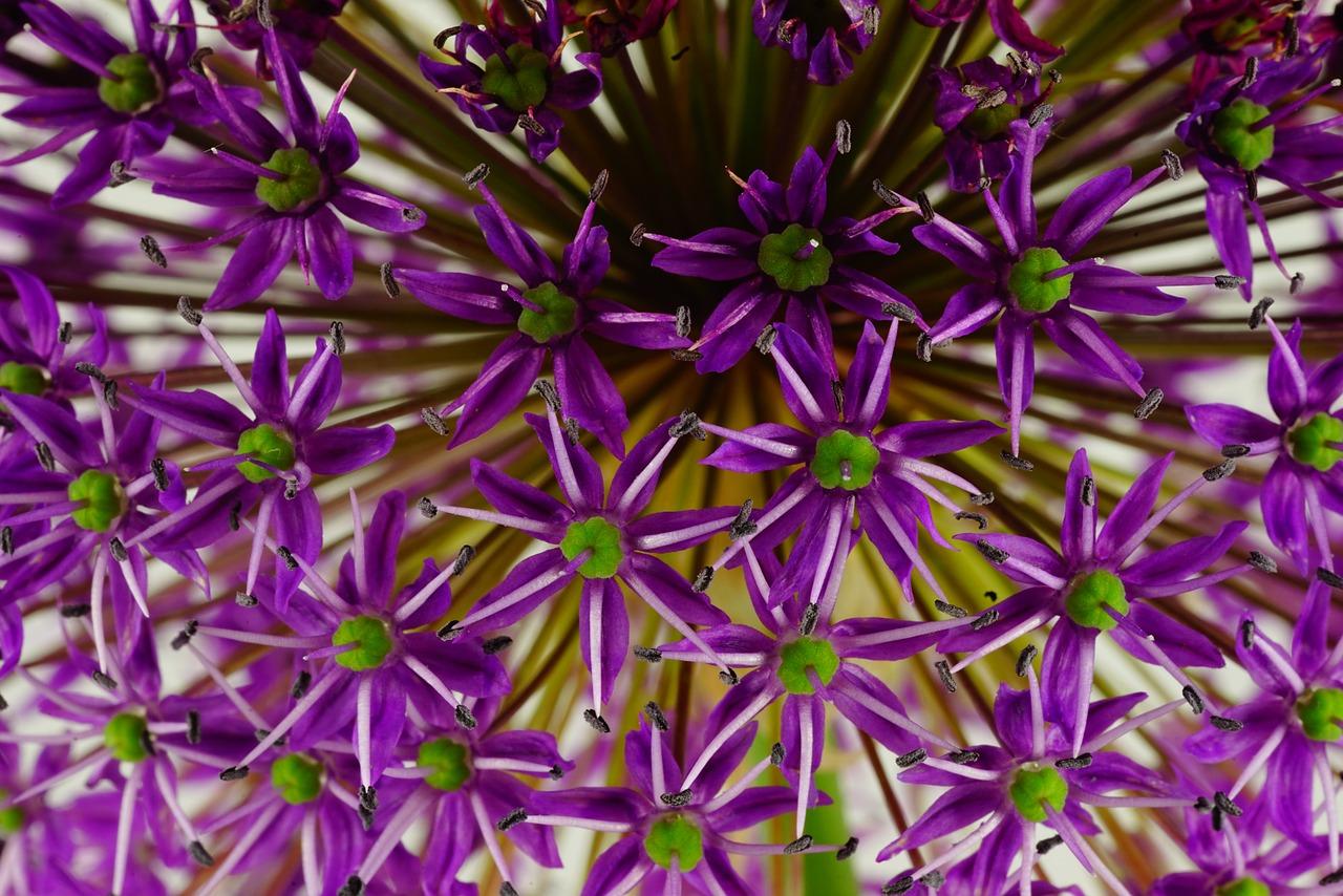 瓷砖用什么割开