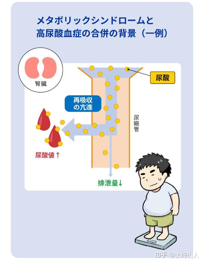 因為工作性質被迫經常應酬最近體檢尿酸偏高平時應該怎麼保健