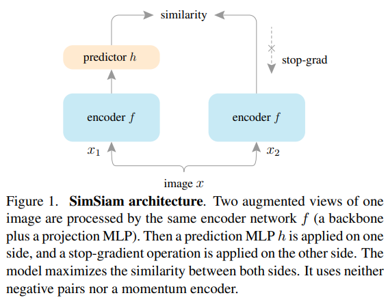 Siamese Learning 《Exploring Simple Siamese Representation Learning》 - 知乎