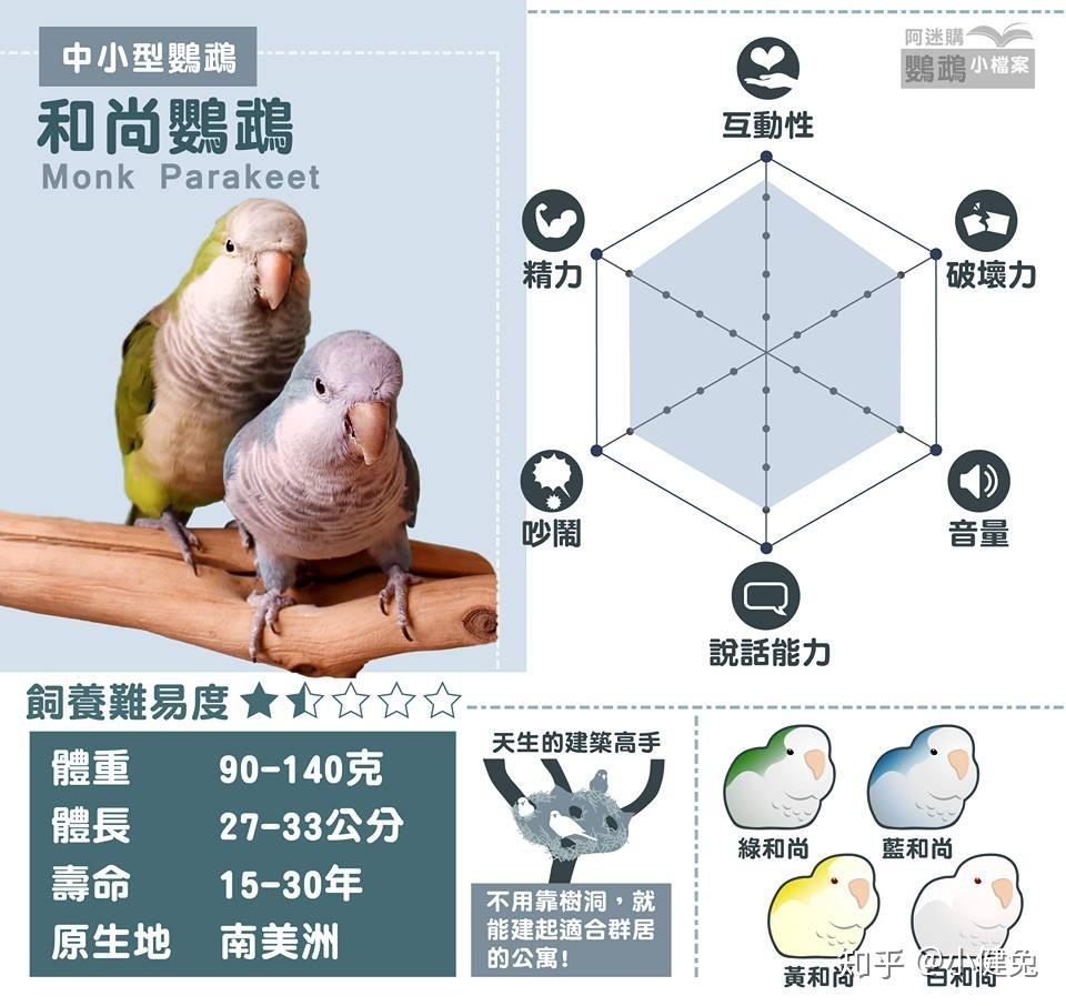 想养鹦鹉了咨询一下哪些鹦鹉会说话啊
